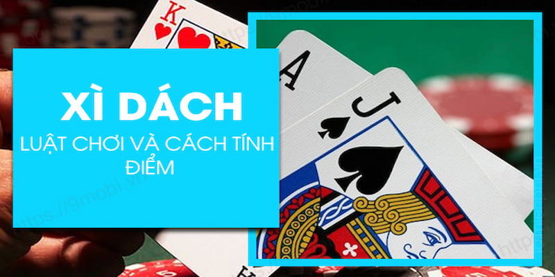 Những Lý Do Nên Chơi Cách Chơi Xì Dách Tại Net88