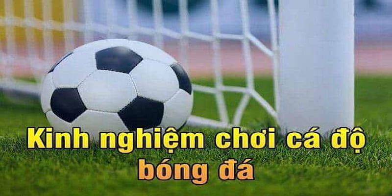 soi kèo Net88 Các bước cơ bản để soi kèo Net88 hiệu quả